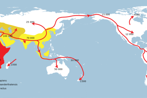 The Out of Taiwan Theory, Explained - by Jon Y Teori out of africa dan out of taiwan