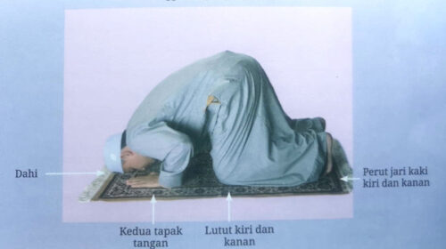 Anggota tubuh yang wajib diletakkan di tempat sujud