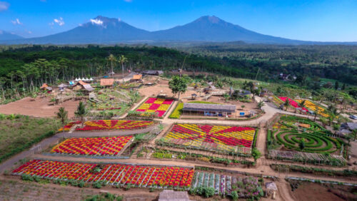 Cocok buat Staycation, 10 Hotel di Banyuwangi bikin Nyaman 5 rekomendasi villa di banyuwangi yang wajib anda kunjungi