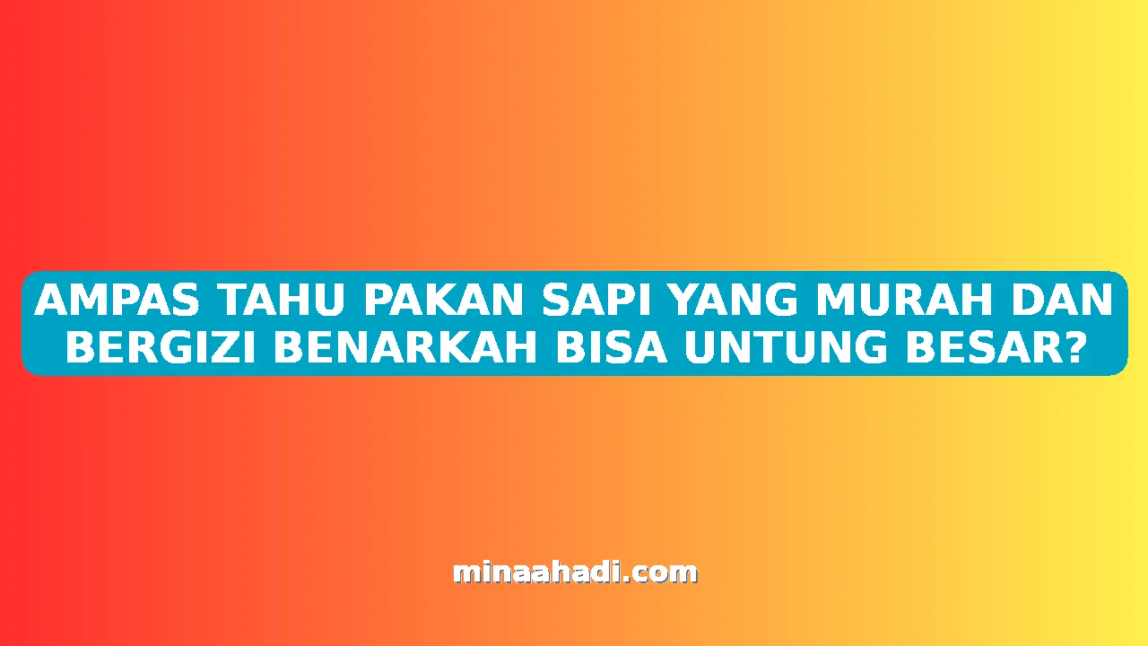 AMPAS TAHU PAKAN SAPI YANG MURAH DAN BERGIZI BENARKAH BISA UNTUNG BESAR?