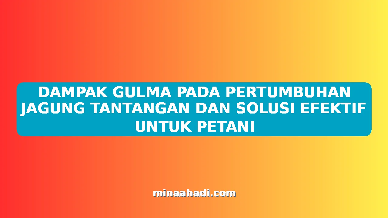 DAMPAK GULMA PADA PERTUMBUHAN JAGUNG TANTANGAN DAN SOLUSI EFEKTIF UNTUK PETANI