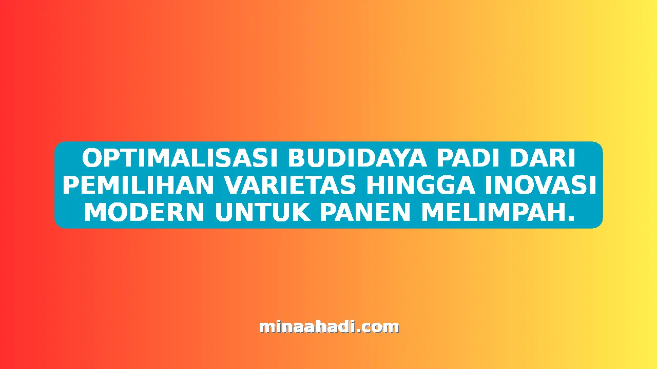 OPTIMALISASI BUDIDAYA PADI DARI PEMILIHAN VARIETAS HINGGA INOVASI MODERN UNTUK PANEN MELIMPAH.