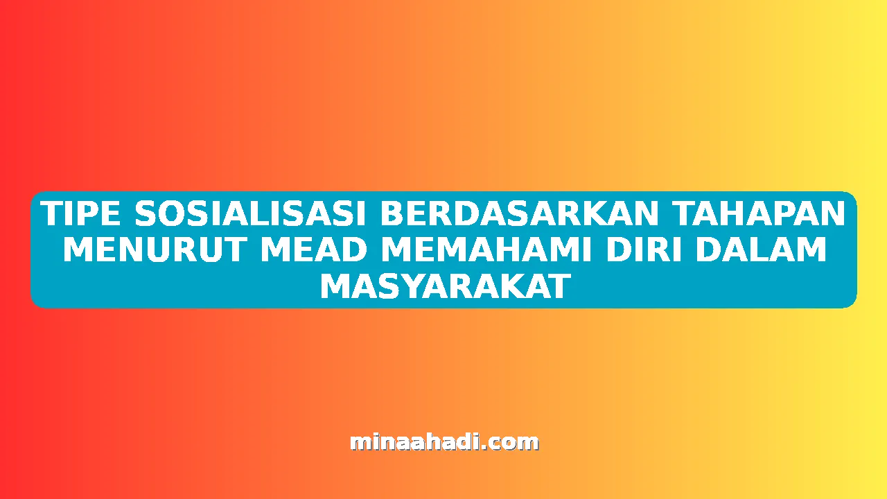 TIPE SOSIALISASI BERDASARKAN TAHAPAN MENURUT MEAD MEMAHAMI DIRI DALAM MASYARAKAT