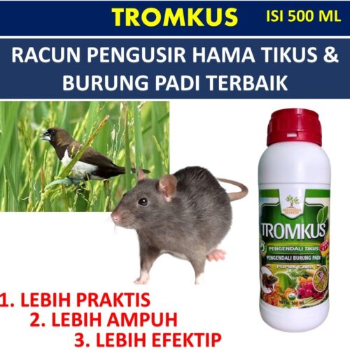 Jual (PROMO MURAH) OBAT Pengusir Hama Tikus dan Burung Pipit/Emprit ... Burung pipit hama atau pembasmi hama di lahan pertanian