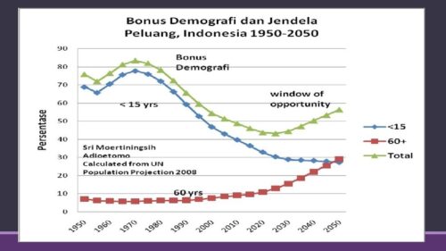 Bonus demografi indonesia peluang dan tantangan bagi masa depan bangsa
